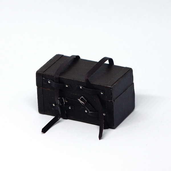 Dark Suitcase 1/6