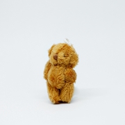 Small brown fluffy Teddybear